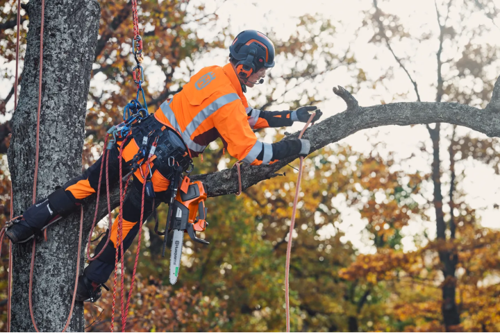 Купити Професійна одноручна акумуляторна пила Husqvarna T535iXP 1,45 кВт (9707164-12). Офіційний магазин Хускварна Україна, фірмова гарантія з доставкою по Украіні