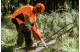 Купить Бензопила Husqvarna 61 (9670623-18). Официальный магазин Хускварна Украина, фирменная гарантия с доставкой по Украине.