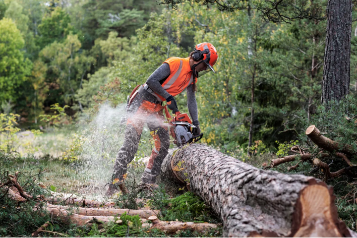 Купити Ланцюг Husqvarna X-CUT C33, 13"/33см, 0.325", 1.3мм, 56DL (5856411-56). Офіційний магазин Хускварна Україна, фірмова гарантія з доставкою по Украіні