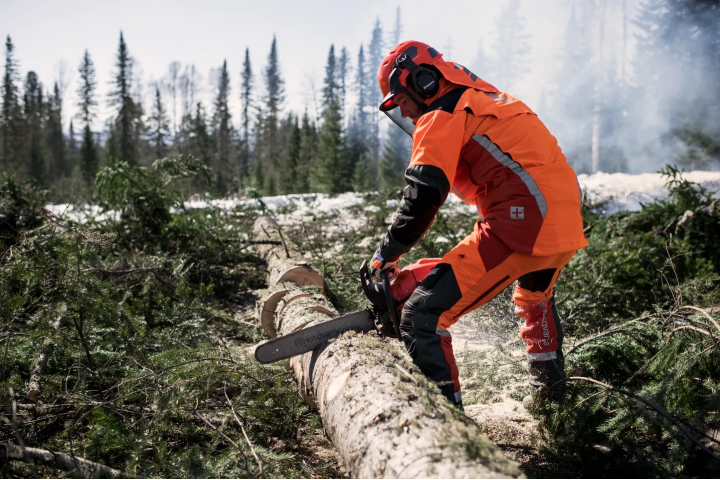 Купити Бензопила Husqvarna 565 (9667339-18). Офіційний магазин Хускварна Україна, фірмова гарантія з доставкою по Украіні