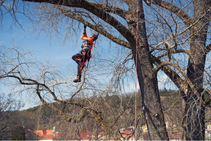 Купить Мотузка альпіністська Climbing; 11,5мм, 60м, помаранчева. Официальный магазин Хускварна Украина, фирменная гарантия с доставкой по Украине.
