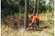Купить Бензопила Husqvarna 272XP (9656816-18). Официальный магазин Хускварна Украина, фирменная гарантия с доставкой по Украине.