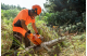 Купить Бензопила Husqvarna 272XP (9656816-18). Официальный магазин Хускварна Украина, фирменная гарантия с доставкой по Украине.