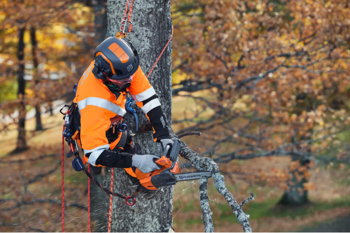 Купить Бензопила Husqvarna T525 (9707375-10). Официальный магазин Хускварна Украина, фирменная гарантия с доставкой по Украине.