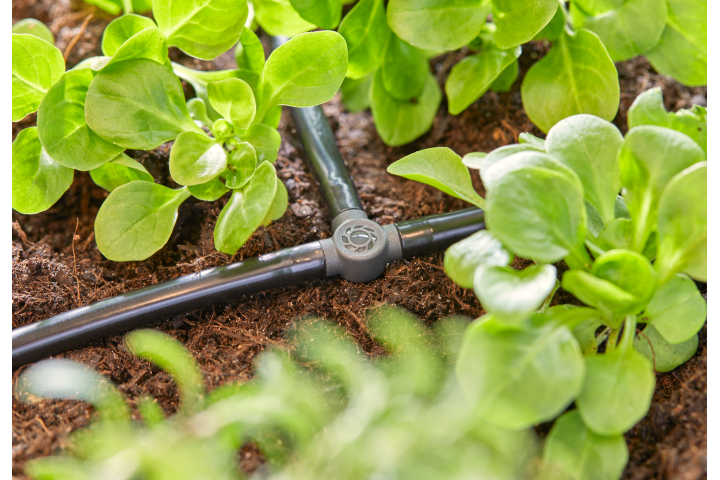 Купити З'єднувач Т-подібний Gardena Micro-Drip-System для шлангів 4,6 мм 10 шт. (13211-20.000.00). Офіційний магазин Хускварна Україна, фірмова гарантія з доставкою по Украіні