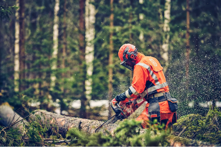 Купити Ланцюг Husqvarna X-CUT C33, 18"/45см, 0.325", 1.3мм, 72DL (5856411-72). Офіційний магазин Хускварна Україна, фірмова гарантія з доставкою по Украіні