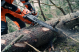 Купити Бензопила Husqvarna 572XP (9667331-18). Офіційний магазин Хускварна Україна, фірмова гарантія з доставкою по Украіні