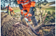 Купити Професійна акумуляторна ланцюгова пила Husqvarna 542iXP 1,8кВт. (9706470-14). Офіційний магазин Хускварна Україна, фірмова гарантія з доставкою по Украіні