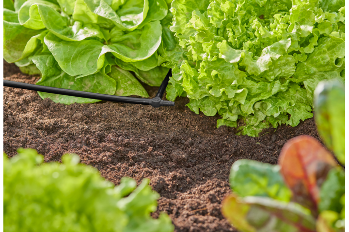 Купити З'єднувач Т-подібний Gardena Micro-Drip-System для шлангів 4,6 мм 10 шт. (13211-20.000.00). Офіційний магазин Хускварна Україна, фірмова гарантія з доставкою по Украіні