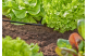 Купити З'єднувач Т-подібний Gardena Micro-Drip-System для шлангів 4,6 мм 10 шт. (13211-20.000.00). Офіційний магазин Хускварна Україна, фірмова гарантія з доставкою по Украіні