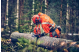 Купити Ланцюг Husqvarna X-CUT C35, 13"/33см, 0.325", 1.5мм, 56DL (5816997-56). Офіційний магазин Хускварна Україна, фірмова гарантія з доставкою по Украіні