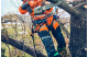 Купити Професійна одноручна акумуляторна пила Husqvarna T542iXP 1,8кВт (9706468-14). Офіційний магазин Хускварна Україна, фірмова гарантія з доставкою по Украіні