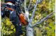 Купити Бензопила Husqvarna 445S (9707019-15). Офіційний магазин Хускварна Україна, фірмова гарантія з доставкою по Украіні