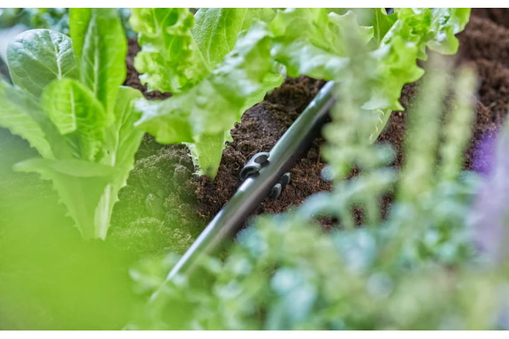 Купити Кілочки Gardena для мікрокрапельної системи, шланги 13 мм (1/2"),  упаковка 10шт. (13208-20.000.00). Офіційний магазин Хускварна Україна, фірмова гарантія з доставкою по Украіні