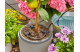 Купити Комплект Gardena AquaBloom для поливу у вихідні дні (13300-20.000.00). Офіційний магазин Хускварна Україна, фірмова гарантія з доставкою по Украіні