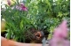 Купити Крапельниця Gardena кінцева 1-8 л/год, упаковка 5шт. (08316-29.000.00). Офіційний магазин Хускварна Україна, фірмова гарантія з доставкою по Украіні
