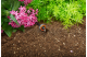 Купити Крапельниця Gardena Micro-Drip-System кінцева вирівнююча тиск 2 л/год (упаковка 10 од.) (08310-29.00.00). Офіційний магазин Хускварна Україна, фірмова гарантія з доставкою по Украіні