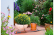 Купити Крапельниця Gardena Micro-Drip-System кінцева вирівнююча тиск 2 л/год (упаковка 10 од.) (08310-29.00.00). Офіційний магазин Хускварна Україна, фірмова гарантія з доставкою по Украіні