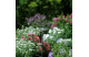Купити Мікродощувач Gardena 360град., d.3 м, упаковка 5шт. (01365-29.000.00). Офіційний магазин Хускварна Україна, фірмова гарантія з доставкою по Украіні