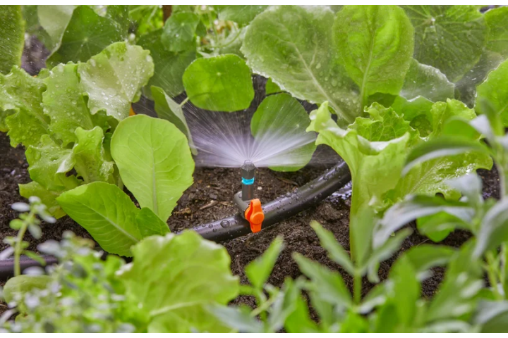 Купити Мікронасадка (дощувач) Gardena Micro-Drip-System секторна 180°, упаковка 5шт. (13321-20.000.00). Офіційний магазин Хускварна Україна, фірмова гарантія з доставкою по Украіні