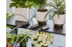 Купити Набір Gardena Holiday Watering для поливу в вихідні дні (13366-20.000.00). Офіційний магазин Хускварна Україна, фірмова гарантія з доставкою по Украіні
