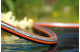 Купити Шланг Gardena SuperFlex 13мм (1/2"), 20 м (18093-20.000.00). Офіційний магазин Хускварна Україна, фірмова гарантія з доставкою по Украіні
