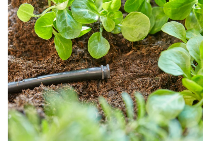 Купити Заглушка Gardena Micro-Drip-System для шлангів 4,6 мм (3/16") (комплект 10 од.) (13215-20.000.00). Офіційний магазин Хускварна Україна, фірмова гарантія з доставкою по Украіні
