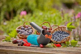 Купити Плодознімач Gardena Combisystem BerryPicker для збирання ягід  (17400-20.000.00) Фірмовий інтернет магазин офіційного інструменту Гардена Україна в Ірпіні