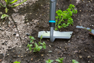 Купити Сапка Gardena NatureLine, 16 см Фірмовий інтернет магазин офіційного інструменту Гардена Україна в Ірпіні
