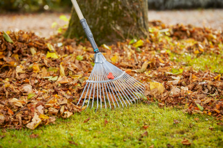 Купити Граблі віялові з ручкою Gardena NatureLine (17107-20.000.00) Фірмовий інтернет магазин офіційного інструменту Гардена Україна в Ірпіні