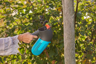 Купити Плодознімач Gardena Combisystem BerryPicker для збирання ягід  (17400-20.000.00) Фірмовий інтернет магазин офіційного інструменту Гардена Україна в Ірпіні