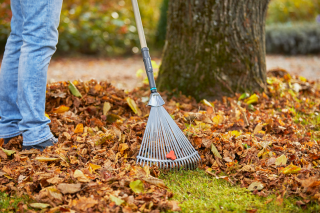 Купити Граблі віялові з ручкою Gardena NatureLine (17107-20.000.00) Фірмовий інтернет магазин офіційного інструменту Гардена Україна в Ірпіні