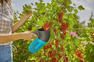Купити Плодознімач Gardena Combisystem BerryPicker для збирання ягід  (17400-20.000.00) Фірмовий інтернет магазин офіційного інструменту Гардена Україна в Ірпіні