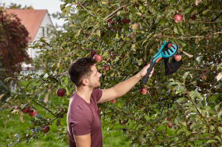 Купити Плодознімач Gardena Combisystem FruitPicker (03115-20.000.00) Фірмовий інтернет магазин офіційного інструменту Гардена Україна в Ірпіні