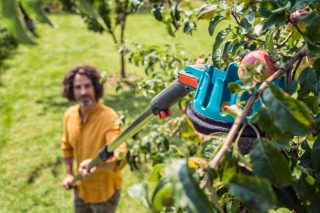 Купити Плодознімач Gardena Combisystem FruitPicker (03115-20.000.00) Фірмовий інтернет магазин офіційного інструменту Гардена Україна в Ірпіні