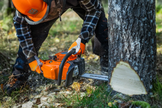 Купити Бензопила Husqvarna 445S (9707019-15) Фірмовий інтернет магазин офіційна садова техніка Хускварна Україна в Ірпіні