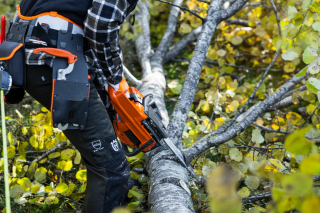 Купити Бензопила Husqvarna 445S (9707019-15) Фірмовий інтернет магазин офіційна садова техніка Хускварна Україна в Ірпіні