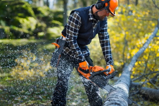 Купити Бензопила Husqvarna 445S (9707019-15) Фірмовий інтернет магазин офіційна садова техніка Хускварна Україна в Ірпіні