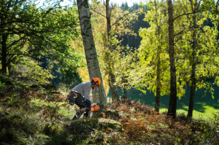 Купити Бензопила Husqvarna 450S (9707026-15) Фірмовий інтернет магазин офіційна садова техніка Хускварна Україна в Ірпіні