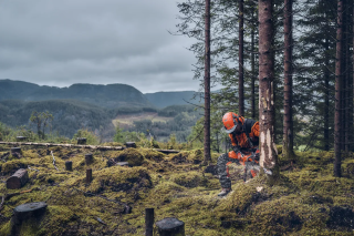 Купити Бензопила Husqvarna 540XP III (9705181-14) Фірмовий інтернет магазин офіційна садова техніка Хускварна Україна в Ірпіні