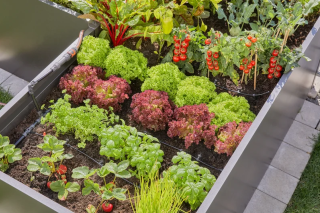 Купити Комплект полива Gardena Micro-Drip-System Raised Bed Set для высоких грядок на 35 растений Фірмовий інтернет магазин офіційна садова техніка Гардена Україна в Ірпіні