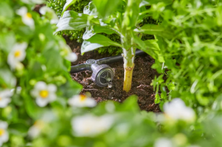 Купити Комплект полива Gardena Micro-Drip-System Raised Bed Set для высоких грядок на 35 растений Фірмовий інтернет магазин офіційна садова техніка Гардена Україна в Ірпіні