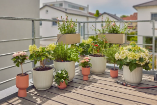 Купити Комплект поливу Gardena Micro-Drip-System Balcony Set на 15 рослин Фірмовий інтернет магазин офіційна садова техніка Гардена Україна в Ірпіні