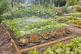 Купити Комплект поливу Gardena Micro-Drip-System для клумб і грядок до 60 м2 Фірмовий інтернет магазин офіційна садова техніка Гардена Україна в Ірпіні