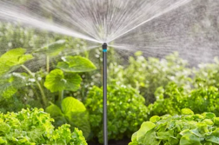 Купити Комплект поливу Gardena Micro-Drip-System для клумб і грядок до 60 м2 Фірмовий інтернет магазин офіційна садова техніка Гардена Україна в Ірпіні