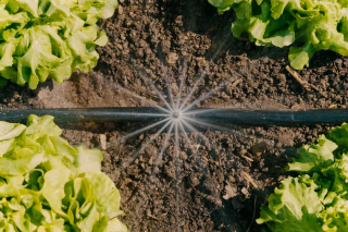 Купити Комплект поливу Gardena Micro-Drip-System для клумб і грядок до 60 м2 Фірмовий інтернет магазин офіційна садова техніка Гардена Україна в Ірпіні