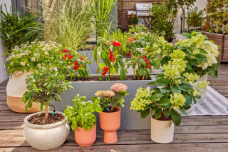 Купити Комплект поливу Gardena Micro-Drip-System Terrace Set на 30 рослин Фірмовий інтернет магазин офіційна садова техніка Гардена Україна в Ірпіні