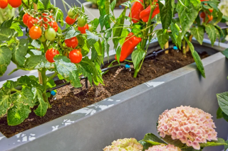 Купити Комплект поливу Gardena Micro-Drip-System Terrace Set на 30 рослин Фірмовий інтернет магазин офіційна садова техніка Гардена Україна в Ірпіні