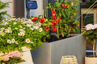 Купити Комплект поливу Gardena Micro-Drip-System Terrace Set на 30 рослин Фірмовий інтернет магазин офіційна садова техніка Гардена Україна в Ірпіні